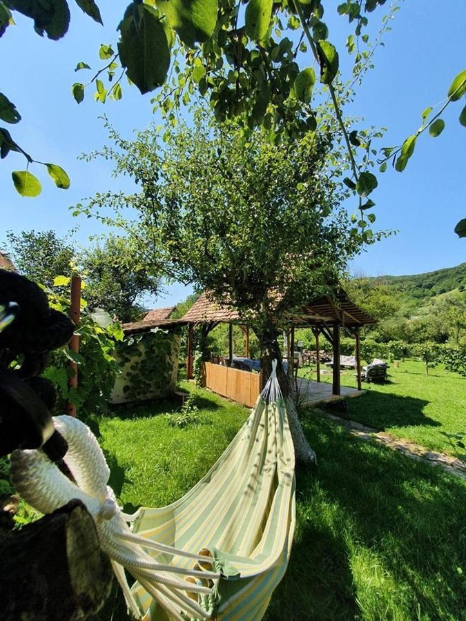 Valchid Guest House Buitenkant foto