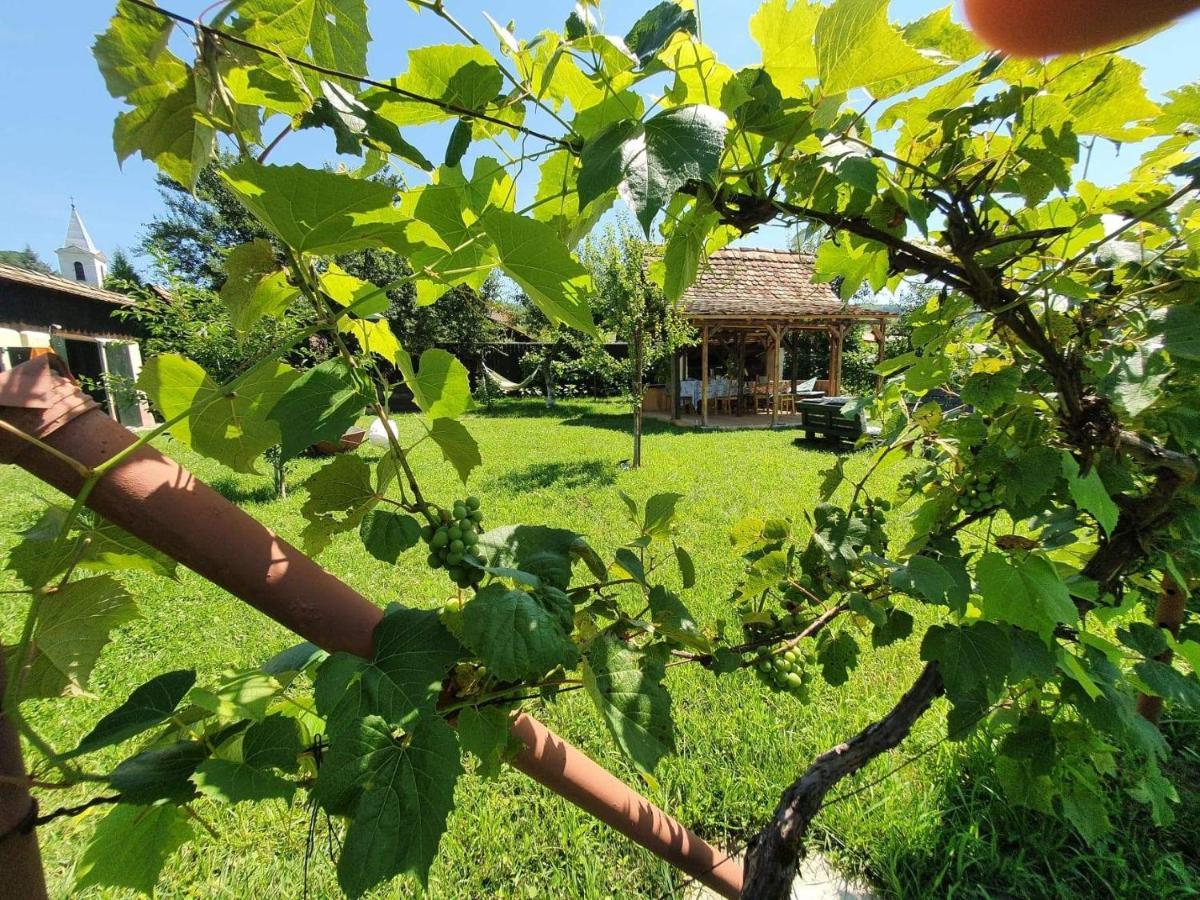 Valchid Guest House Buitenkant foto